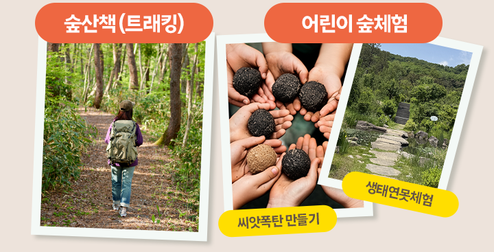 숲산책(트래킹) 어린이 숲체험 씨앗폭탄 만들기 생태연못체험