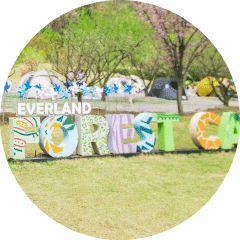 EVERLAND FOREST CAMP 아이콘