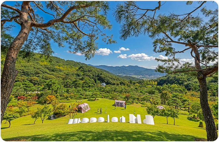 포레스트 캠프 이미지