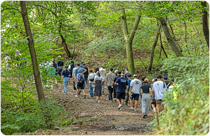 포레스트 캠프 이미지